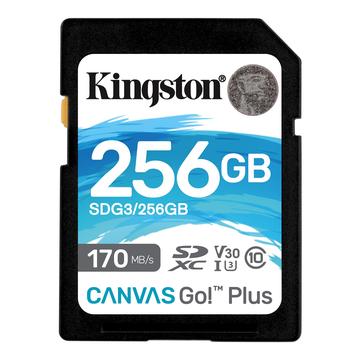 Carte mémoire Kingston Canvas Go ! Plus carte mémoire microSDXC SDG3/256GB