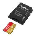 Carte mémoire SanDisk Extreme microSDXC SDSQXAV-256G-GN6MA
