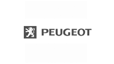 Support tableau de bord pour Peugeot