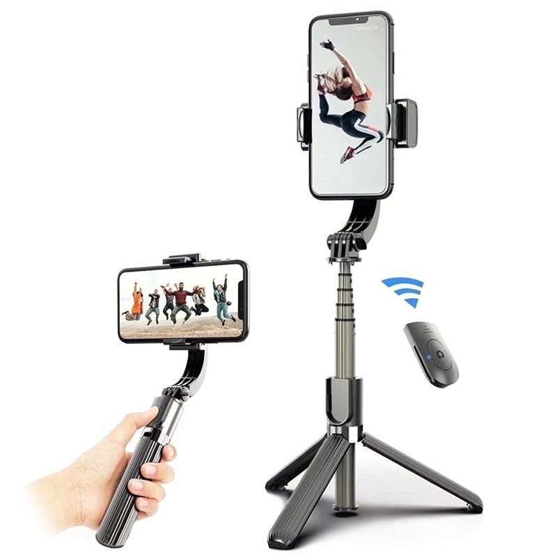Perche à selfie L08