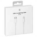Câble Lightning vers USB-C Apple MKQ42ZM/A - 2m - Blanc
