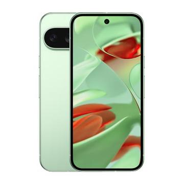 Google Pixel 9 - 128 Go - Vert d\'hiver