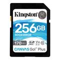 Carte mémoire Kingston Canvas Go ! Plus carte mémoire microSDXC SDG3/256GB