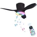 LEC016R Lampe de ventilateur de plafond RVB avec haut-parleur Bluetooth - Noir