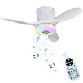 LEC016R Lampe de ventilateur de plafond RVB avec haut-parleur Bluetooth - Blanc