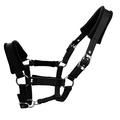 Licol rembourré 25mm - Taille XL - Noir