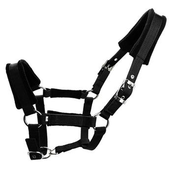 Licol rembourré 25mm - Taille XL - Noir