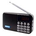 Radio Numérique Bluetooth Portable avec Écran LCD