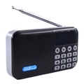 Radio Numérique Bluetooth Portable avec Écran LCD