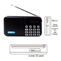 Radio Numérique Bluetooth Portable avec Écran LCD