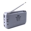 Radio Numérique Bluetooth Portable avec Écran LCD