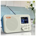 Radio DAB Portable et Haut-Parleur Bluetooth C10 - Blanche / Bleue