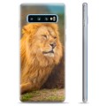 Coque Samsung Galaxy S10+ en TPU - Lion