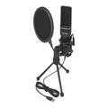 Ensemble de Microphones à Condensateur USB DeLock - Noir