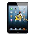 Diagnostic iPad Mini 3