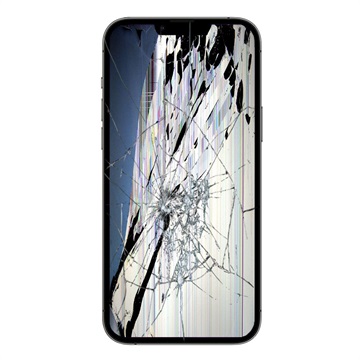 Réparation Ecran LCD et Ecran Tactile iPhone 13 Pro - Noir - Qualité d\'Origine