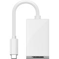 Adaptateur USB-C™ vers DisplayPort