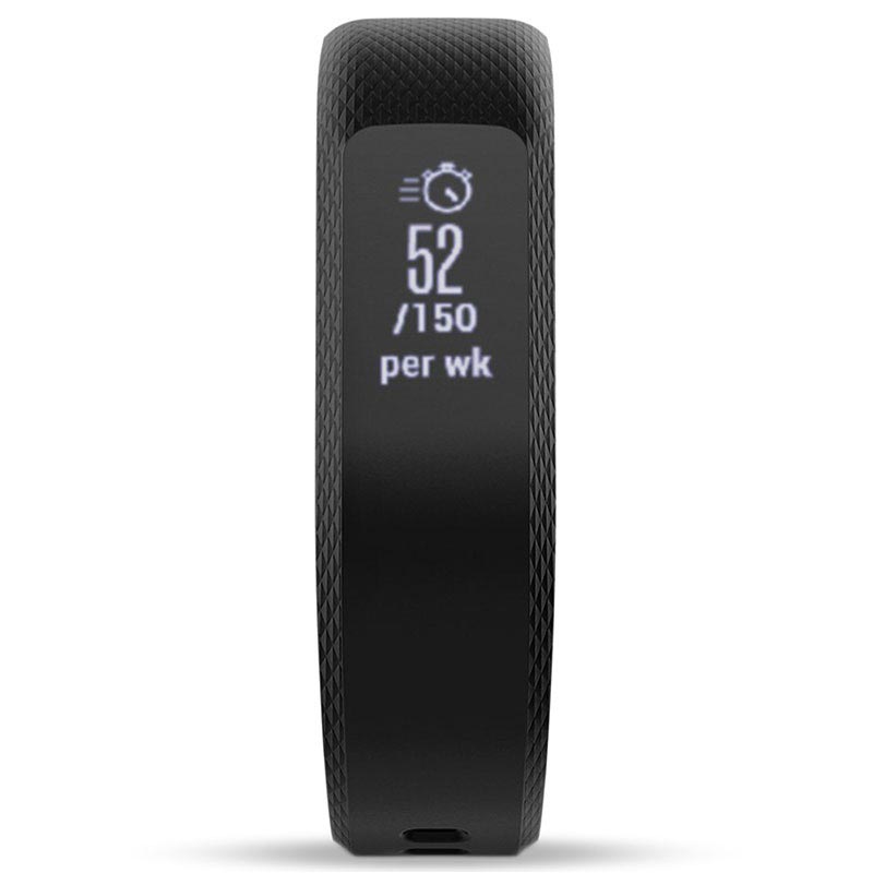vivosmart 3 l