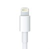 Câble Adaptateur Lightning / 30-broches Compatible - iPhone, iPad, iPod - Blanc